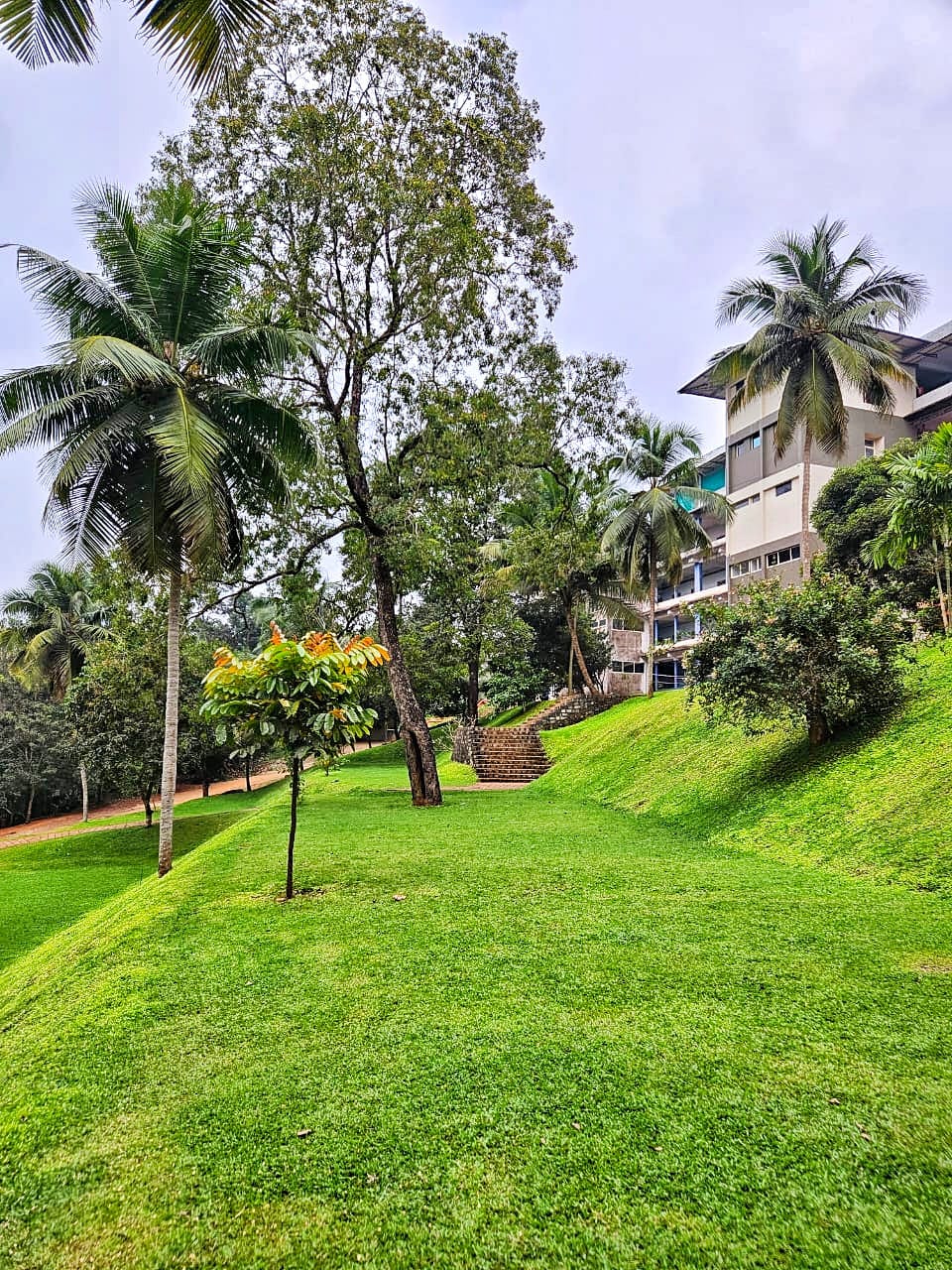 Landscaping & Gardening