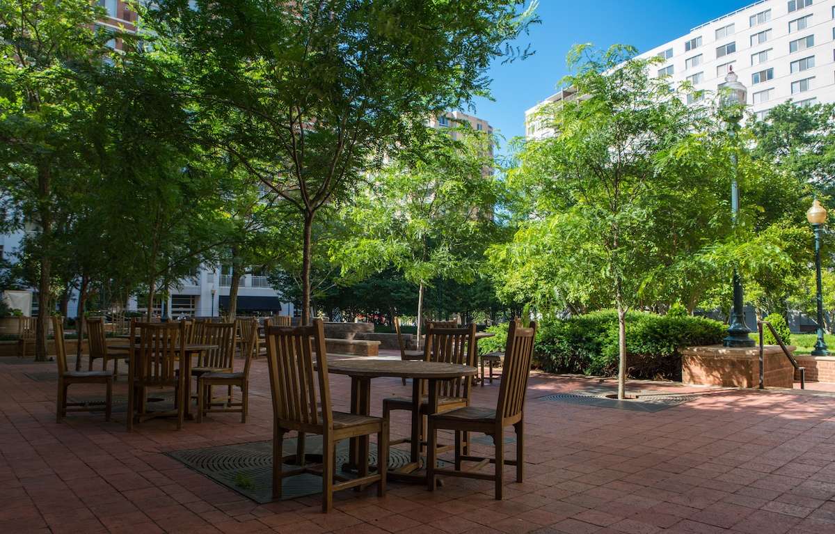 Native Wildflower Meadow